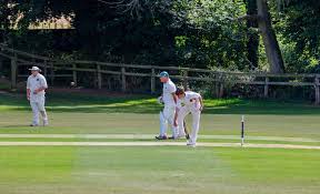 Image result for Ashdon Cricket Club