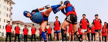 Image result for Southgate T`ai Tsung Chinese Boxing