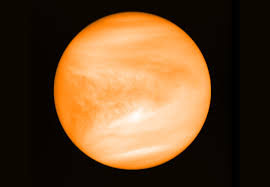 Image result for venus