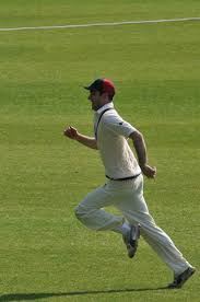 Image result for Bradfield Cricket Club
