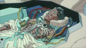 Image result for roujin z