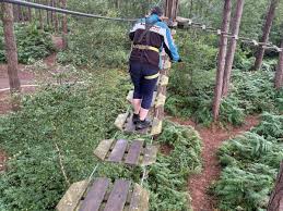 Image result for The Go Ape Experience (Delamere Forest)