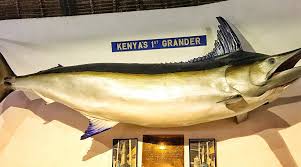 Image result for SHIRLEY SEA ANGLING CLUB