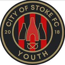 Image result for Kewstoke Junior Football Club