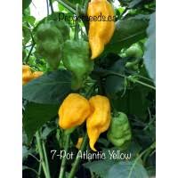 Afbeeldingsresultaat voor numex chimayo hot pepper