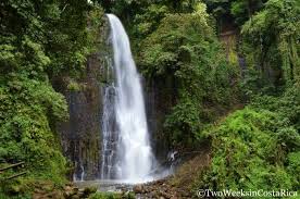 「parque los chor」の画像検索結果
