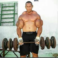 Image result for SYNTHOL