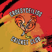 Image result for Pentyrch Cricket Club