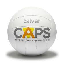 Image result for Wingrave Netball Club