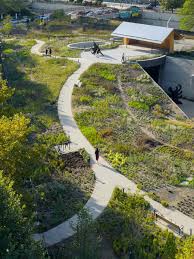 Image result for Piet Oudolf