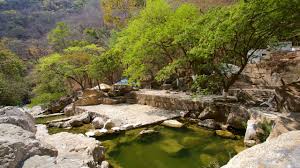 「parque los chor」の画像検索結果