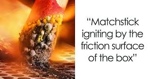 Attēlu rezultāti vaicājumam “Diderma tigrinum young”