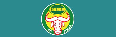 Image result for F C Bulwer