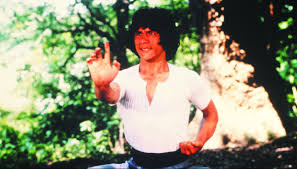 Image result for DRUNKEN MASTER