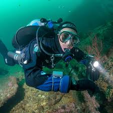 Image result for Duchy Divers