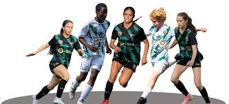 Image result for Capel Football Club