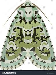 Attēlu rezultāti vaicājumam “Griposia aprilina”