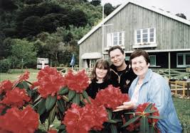 Image result for Wellington Petanque Club