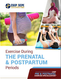 Image result for Postnatal Exercise Course