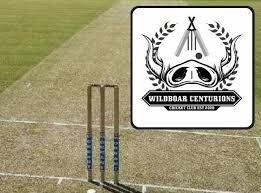 Image result for Bronwydd Cricket Club