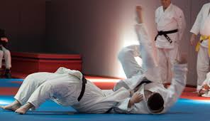 Image result for Harris Judo Club