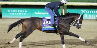 Image result for Woodford Cc