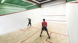 Image result for David Lloyd (Bournemouth) Badminton Club