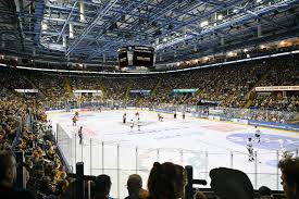 Image result for Nottingham Panthers