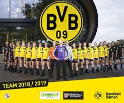 Image result for Deva Handball Club