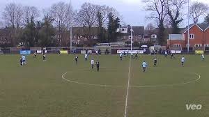 Image result for Molesey Juniors Football Club