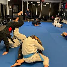 Image result for Bilsborrow Ju Jitsu Club