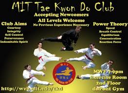 Image result for York University Taekwondo Club