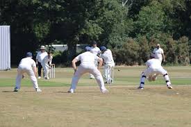 Image result for Lymington Cc
