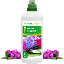 Image result for Phlox (großblumig)