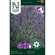 Image result for Lavendel