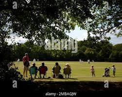 Image result for Stanmore Cricket Club