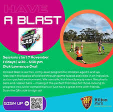 Image result for Hook Norton Junior Cricket Club