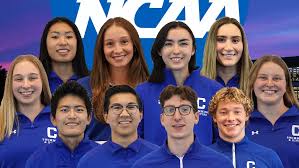 Image result for N C A A C