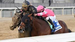 Image result for Derby Autodefence Wing Tchun