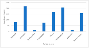 Attēlu rezultāti vaicājumam “Mycosphaerella millegrana”
