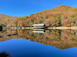 Image result for vogel