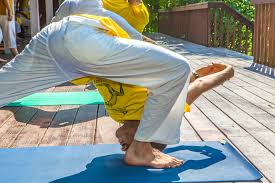 Image result for Affiliated Sivananva Yoga Teacher