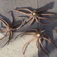 Image result for Steppenkerze