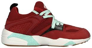 Image result for Blaze Of Glory FC