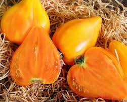 Afbeeldingsresultaat voor erdie family oxheart tomato