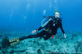 Image result for Blue Water Diving