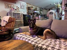 Image result for busch 8791