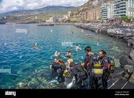 Image result for Canary Divers