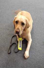 Image result for Bridport & West Dorset Indoor Bowls Club