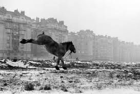 Image result for edouard boubat